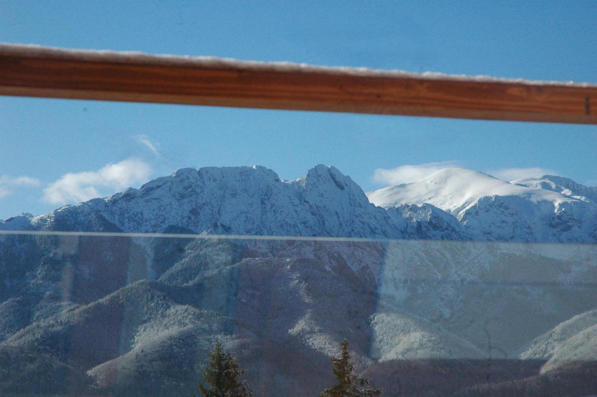 Widok Apartamenty Zakopane Exterior photo